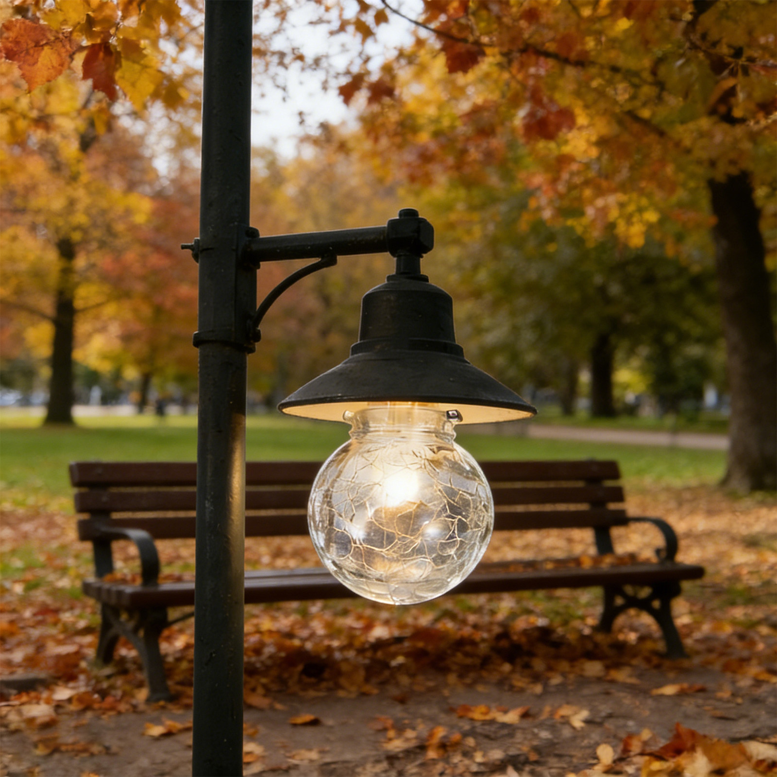 8Pcs Glass Globe Lamp Shade Cr - Outdoor Lighting Glass Replacement ulasan dan harga